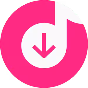 4K Tokkit Pro logo