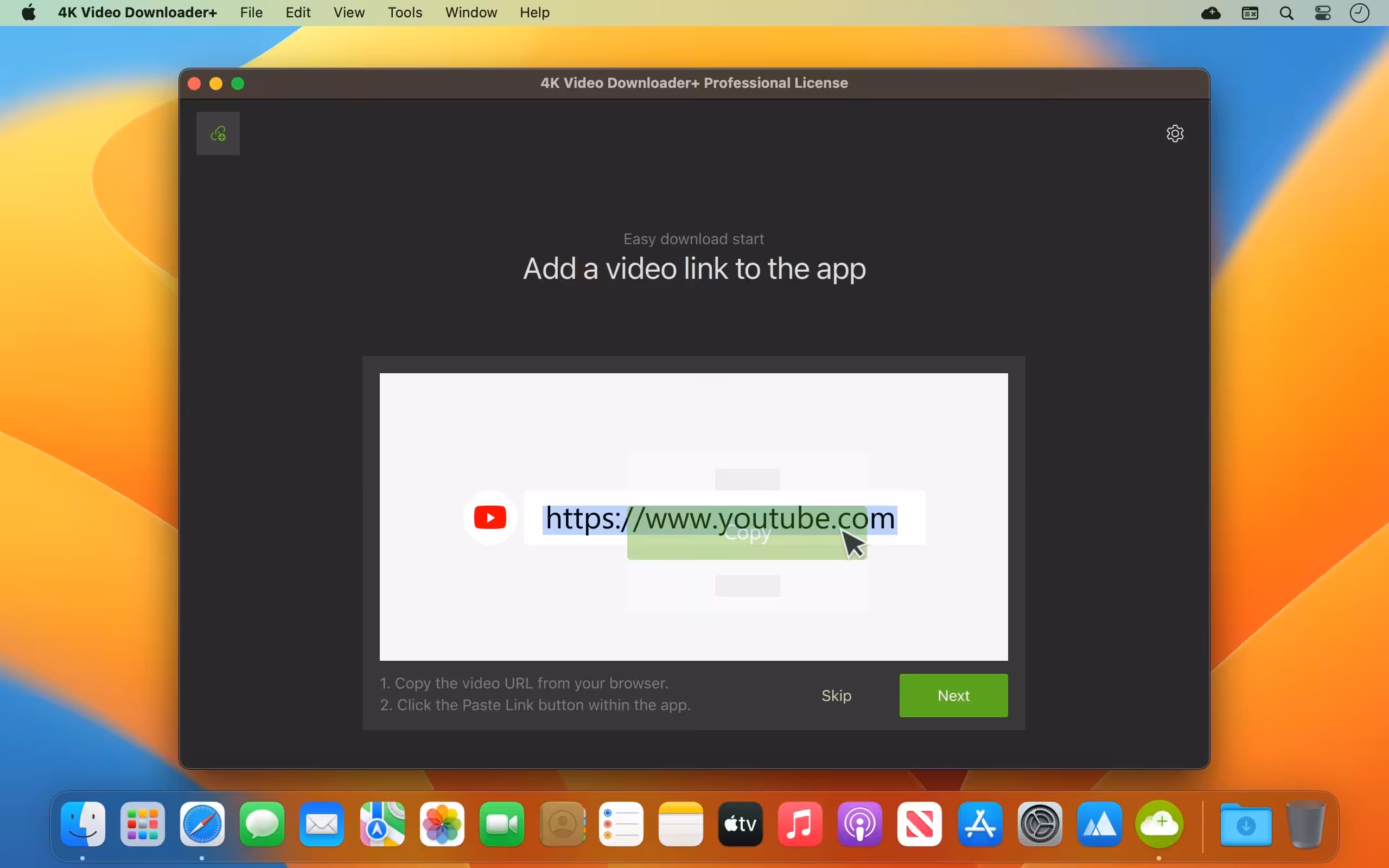 4K Video Downloader Plus Pro Captura 3