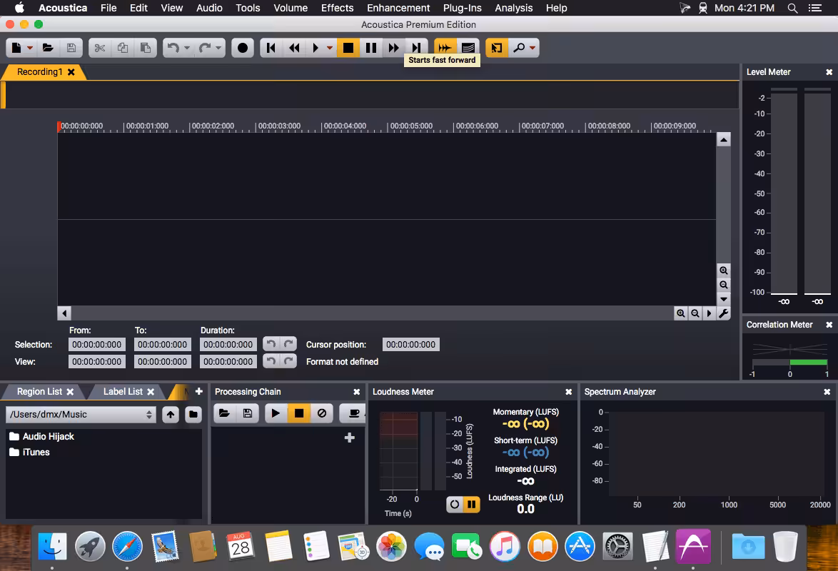 Acon Digital Acoustica Premium Captura 3