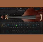 Ample Sound Ample Bass Upright v Logo