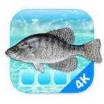 Aquarium 4K – Live Wallpaper