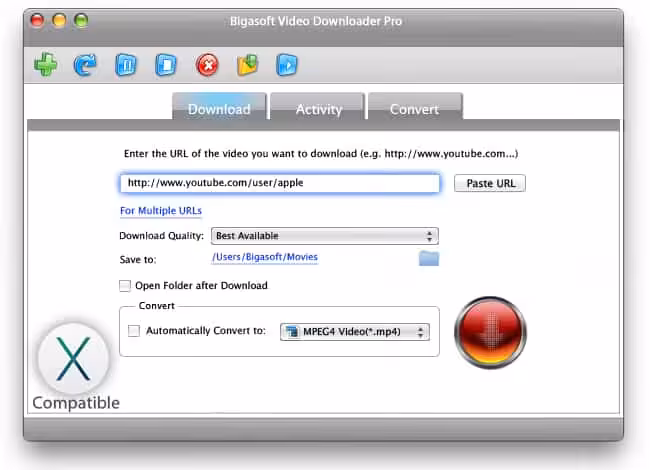 Bigasoft Video Downloader Pro Captura 1