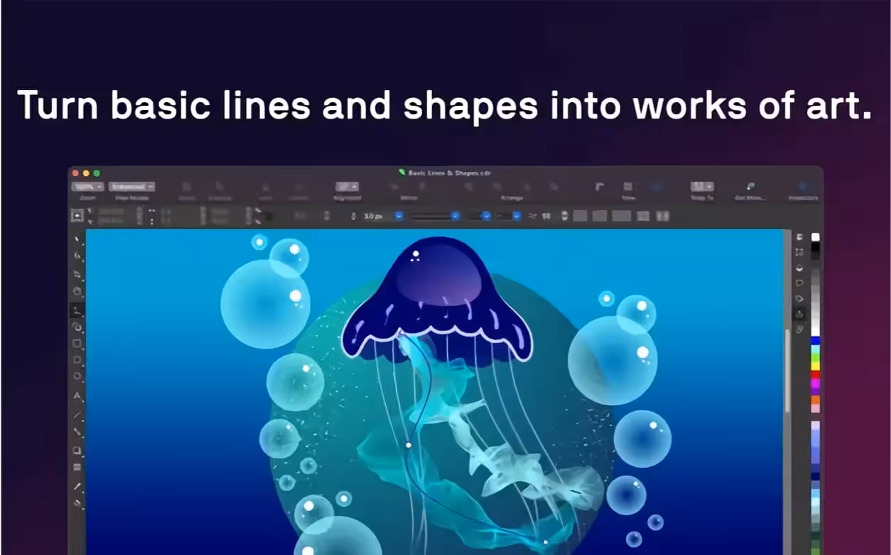 CorelDRAW Graphics Suite 2026 Captura 2