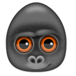 Debookee Logo