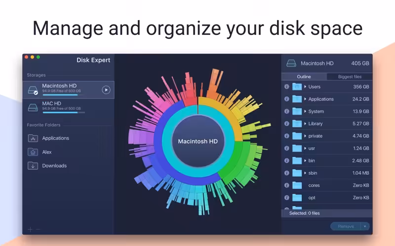 Disk Expert Pro Captura 1