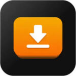 iDownerGo Pro Logo