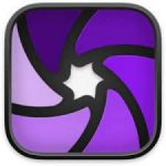 Iris Logo