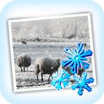 JixiPix Snow Daze logo