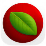 Lingon Pro logo