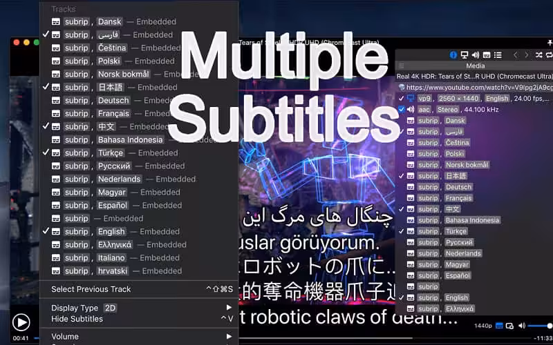 Movist Pro Captura 2