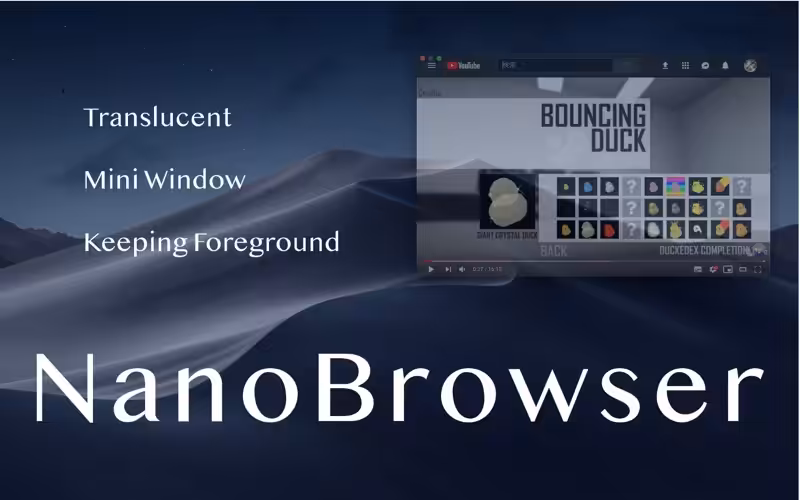 NanoBrowser Captura 2