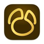 Navicat Premium Logo