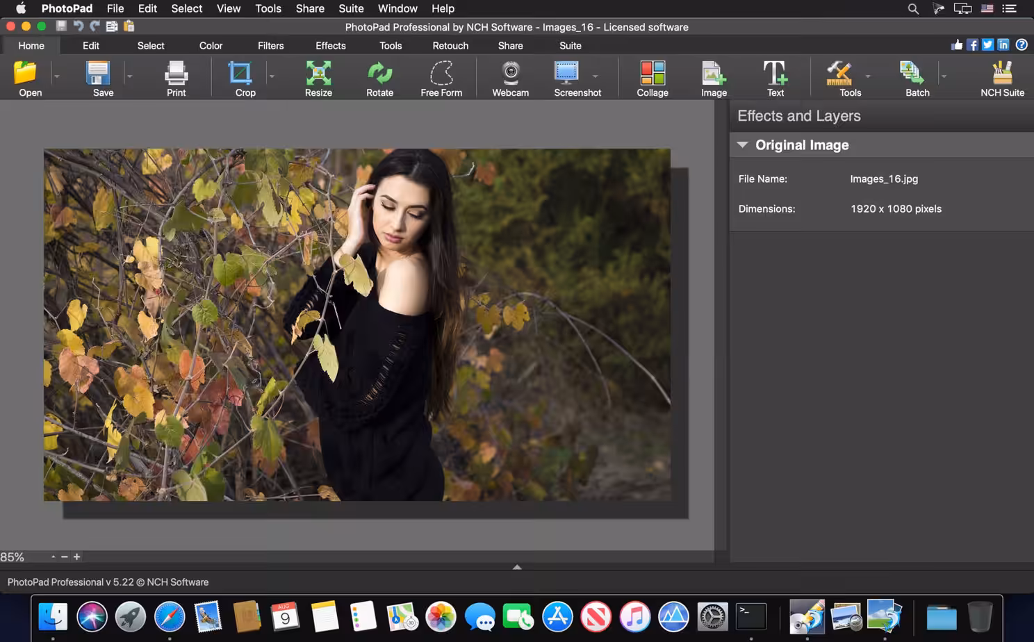 NCH PhotoPad Pro Captura 3