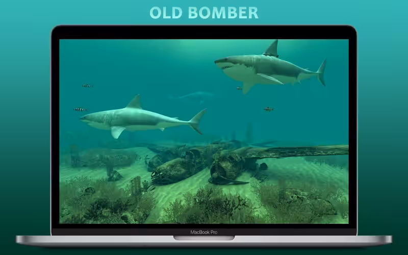 Sharks 3D Captura 1