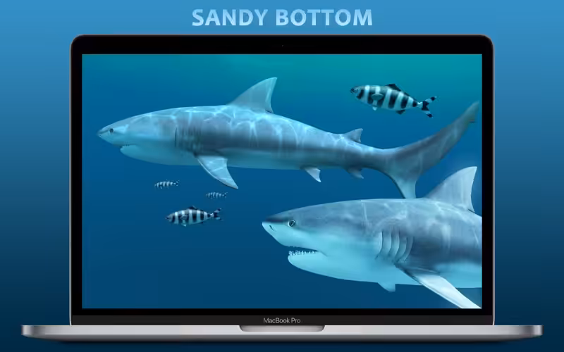 Sharks 3D Captura 3