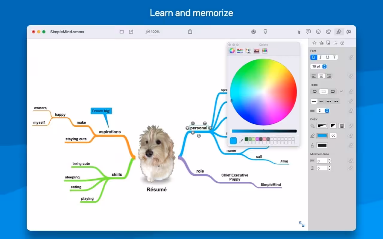 SimpleMind Pro Captura 3