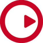 Steinberg Apps Dec 2025 v5 Bundle logo