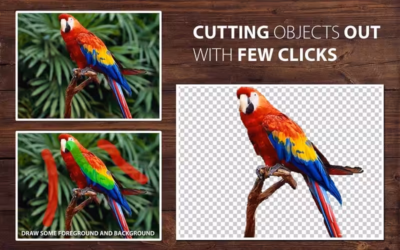 Teorex PhotoScissors Captura 2