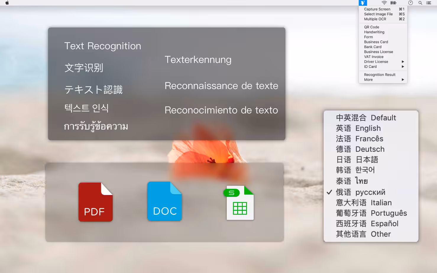Text Scanner – PDF &amp; Document Captura 1