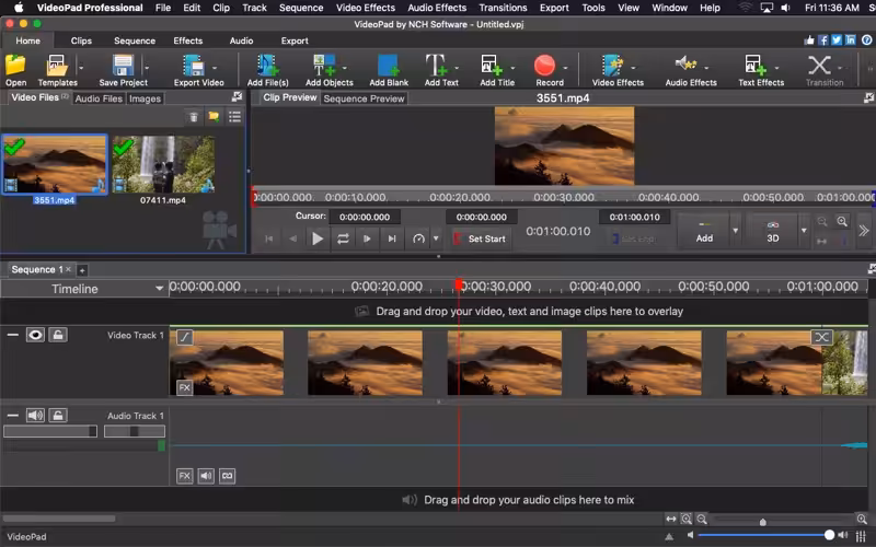 VideoPad Professional Captura 1