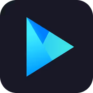 Vidmore Player logo